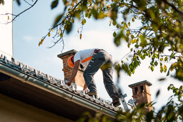 Best Roofing Contractor Near Me  in Central City, IL