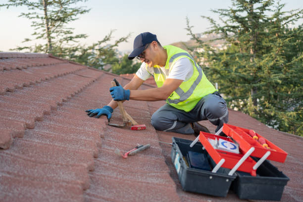 Professional Roofing Contractor in Central City, IL